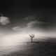 Illustration for article titled These dreamscapes will give me nightmares tonight